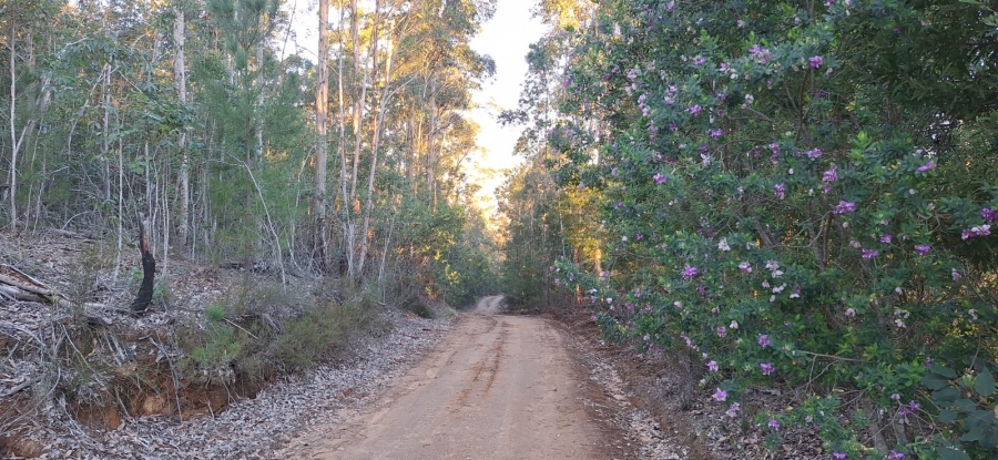 0 Bedroom Property for Sale in Knysna Rural Western Cape